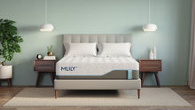 Mlily Harmony Chill Memory Foam Mattress in modern bedroom on rug with two side tables and a plant in the corner